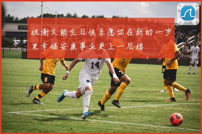 祝谢文能生日快乐愿你在新的一岁里幸福安康事业更上一层楼