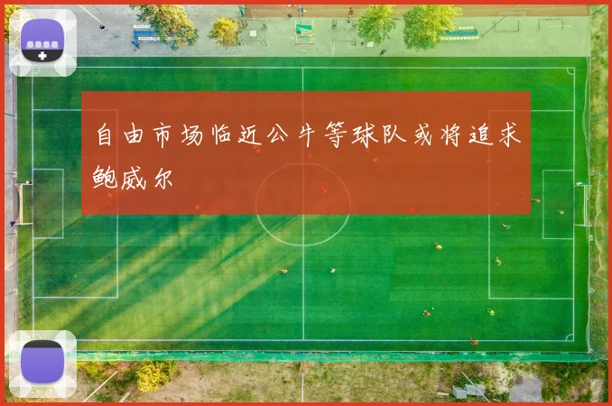 自由市场临近公牛等球队或将追求鲍威尔