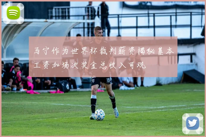 马宁作为世界杯裁判薪资揭秘基本工资加场次奖金总收入可观